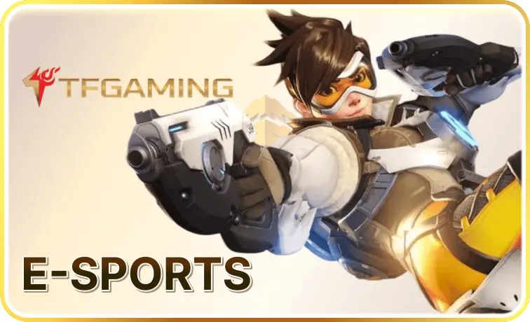 金山娛樂 TF Gaming